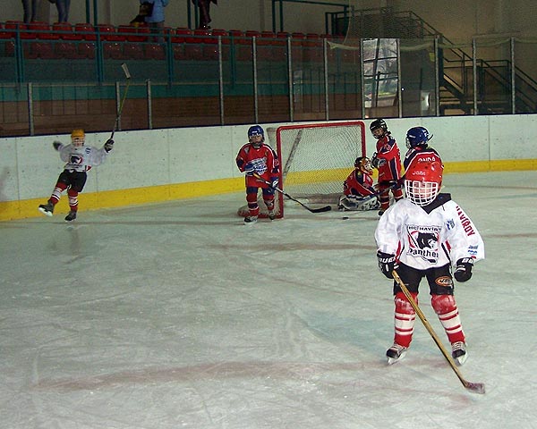 HC Havov vstelil branku