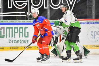  autor: Ronald Hansel