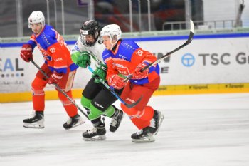  autor: Ronald Hansel