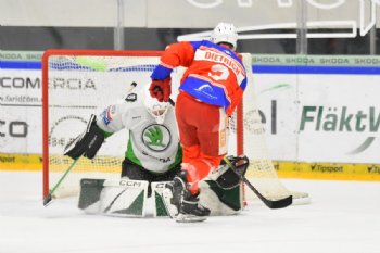  autor: Ronald Hansel