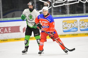  autor: Ronald Hansel