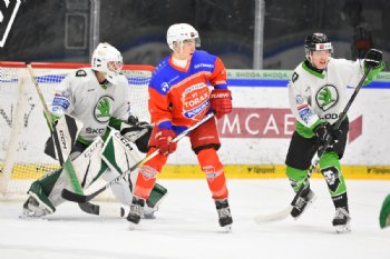  autor: Ronald Hansel