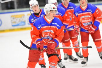  autor: Ronald Hansel