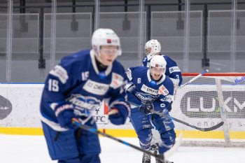  autor: Marcela Z�drapov�