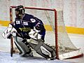 Martin Falter si opt zachytal v Ostrav - Porub |  autor: Monika Novotn (kerka)