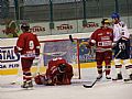 Tihl kryje kotou, pihl Polek. |  autor: Monika Novotn ()