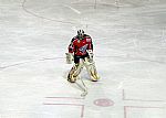 Jakub ech |  autor: Roxburry