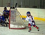 Gl - Arnot Plach |  autor: Martin Plach