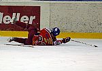 Faulovan Radovan Glas |  autor: Luk Bajgar