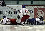 Jelk s Gleichem zasahuj |  autor: Vladimr Vronka