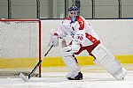 Brank Dominik Konvika |  autor: Luk Bajgar