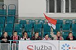 autor: Luk Bajgar